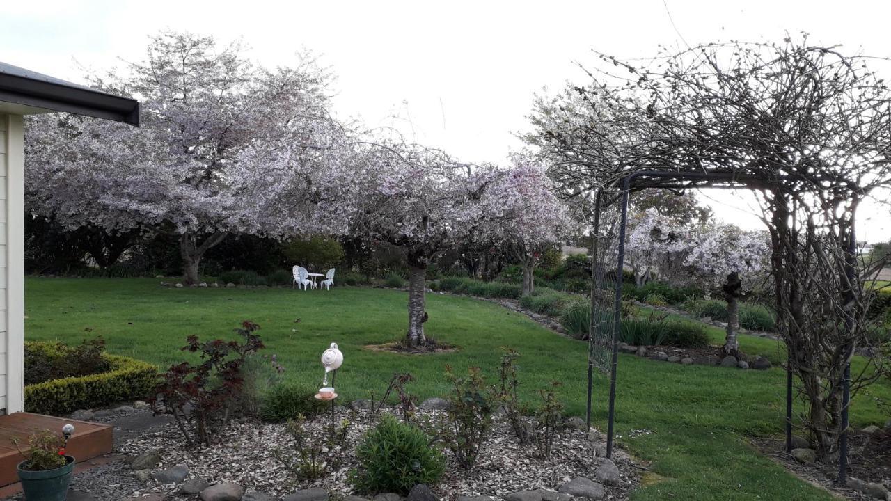 Kaimai Sunset Bed & Breakfast Matamata Dış mekan fotoğraf